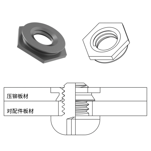 FlushNutSchematic