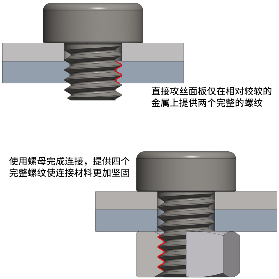 NutEx2