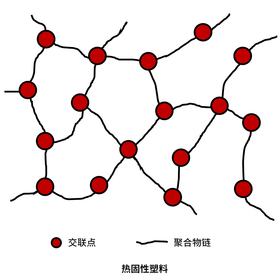 Setter-1